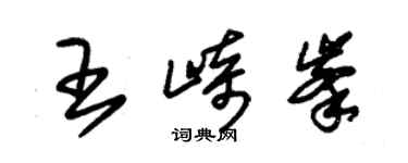 朱錫榮王崎峰草書個性簽名怎么寫