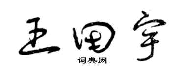 曾慶福王田宇草書個性簽名怎么寫