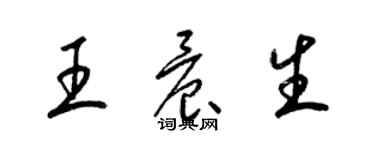 梁錦英王晨生草書個性簽名怎么寫