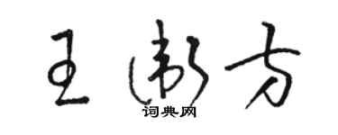 駱恆光王衛方草書個性簽名怎么寫