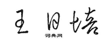 駱恆光王日培草書個性簽名怎么寫