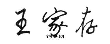 駱恆光王家存行書個性簽名怎么寫