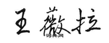 駱恆光王薇拉行書個性簽名怎么寫