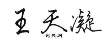 駱恆光王天凝行書個性簽名怎么寫
