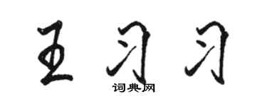 駱恆光王習習行書個性簽名怎么寫