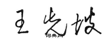 駱恆光王先坡草書個性簽名怎么寫