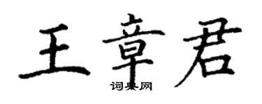 丁謙王章君楷書個性簽名怎么寫