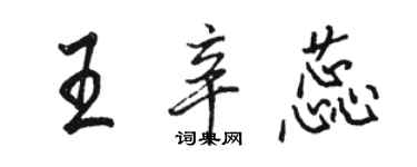 駱恆光王辛蕊行書個性簽名怎么寫