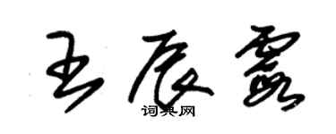 朱錫榮王辰霞草書個性簽名怎么寫