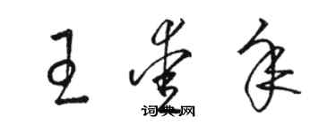 駱恆光王愛年草書個性簽名怎么寫