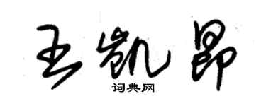 朱錫榮王凱昂草書個性簽名怎么寫