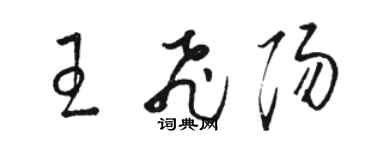 駱恆光王飛陽草書個性簽名怎么寫