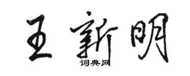 駱恆光王新明行書個性簽名怎么寫