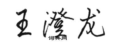 駱恆光王澄龍行書個性簽名怎么寫