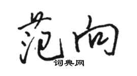 駱恆光范向行書個性簽名怎么寫