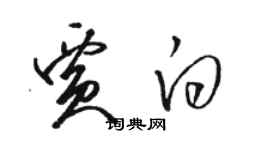 駱恆光賈白草書個性簽名怎么寫