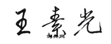 駱恆光王素光行書個性簽名怎么寫