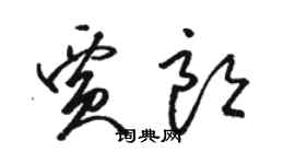 駱恆光賈朗草書個性簽名怎么寫