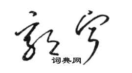 駱恆光郭寧草書個性簽名怎么寫