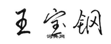 駱恆光王寶鋼行書個性簽名怎么寫