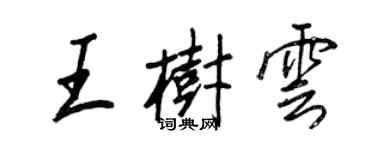 王正良王樹雲行書個性簽名怎么寫