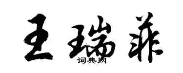 胡問遂王瑞菲行書個性簽名怎么寫