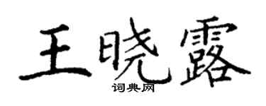 丁謙王曉露楷書個性簽名怎么寫