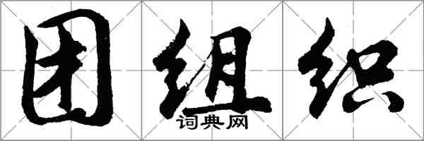 胡問遂團組織行書怎么寫