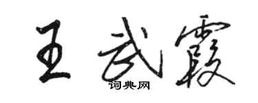 駱恆光王武霞行書個性簽名怎么寫