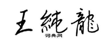 王正良王純龍行書個性簽名怎么寫