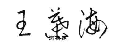 駱恆光王葉海草書個性簽名怎么寫