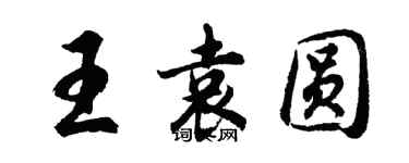 胡問遂王袁圓行書個性簽名怎么寫