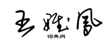 朱錫榮王雅鳳草書個性簽名怎么寫