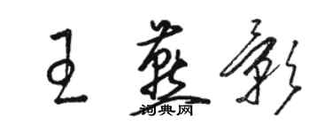 駱恆光王燕影草書個性簽名怎么寫