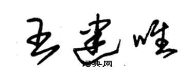 朱錫榮王建唯草書個性簽名怎么寫