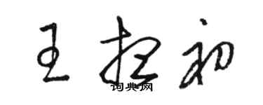 駱恆光王想初草書個性簽名怎么寫