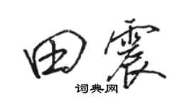 駱恆光田震行書個性簽名怎么寫