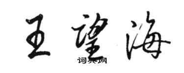 駱恆光王望海行書個性簽名怎么寫