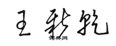 駱恆光王新乾草書個性簽名怎么寫