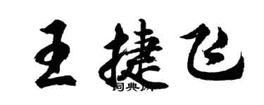 胡問遂王捷飛行書個性簽名怎么寫