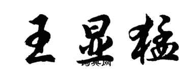 胡問遂王顯猛行書個性簽名怎么寫