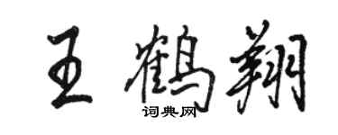 駱恆光王鶴翔行書個性簽名怎么寫