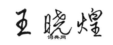 駱恆光王曉煌行書個性簽名怎么寫