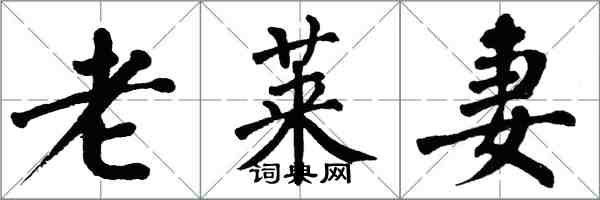 翁闓運老萊妻楷書怎么寫