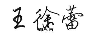 駱恆光王徐蕾行書個性簽名怎么寫