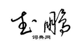 梁錦英武鵬草書個性簽名怎么寫