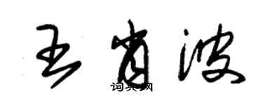 朱錫榮王肖波草書個性簽名怎么寫