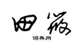 朱錫榮田筱草書個性簽名怎么寫