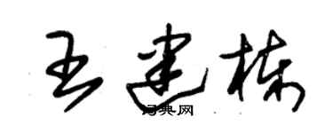 朱錫榮王建棟草書個性簽名怎么寫