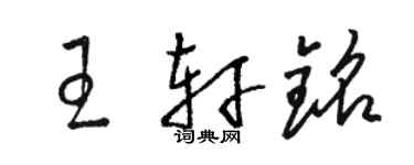 駱恆光王軒銘草書個性簽名怎么寫